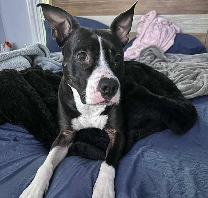 Photo of Ophelia