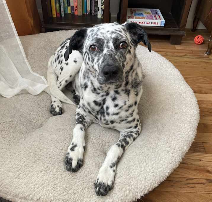 Photo of Lucy