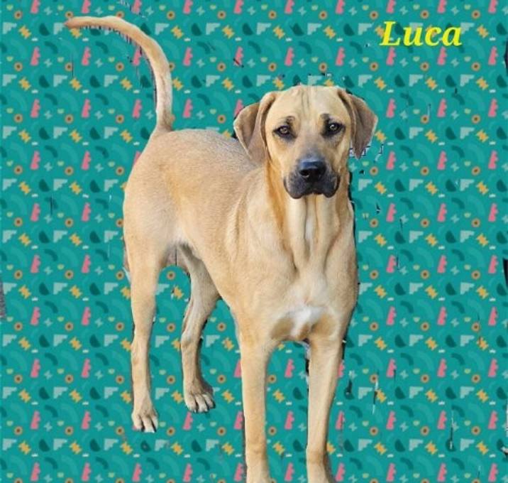 Photo of Luca