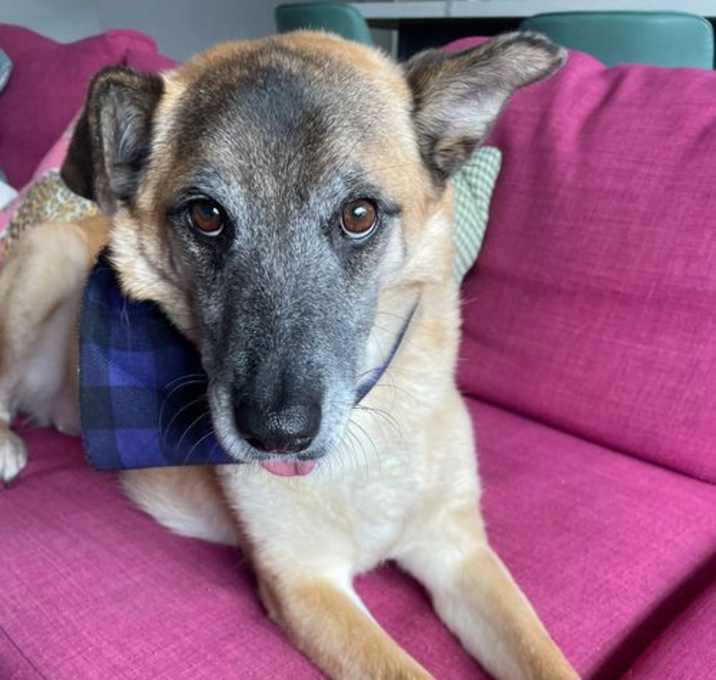 Photo of Lucyll