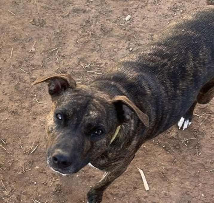 Photo of Roxie