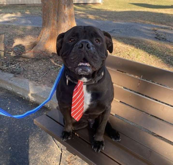 Photo of Oscar