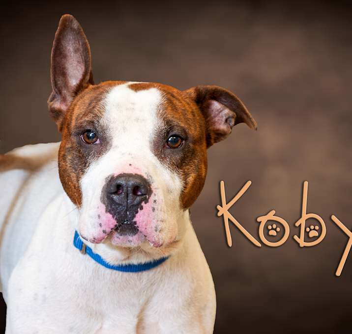 Photo of Koby