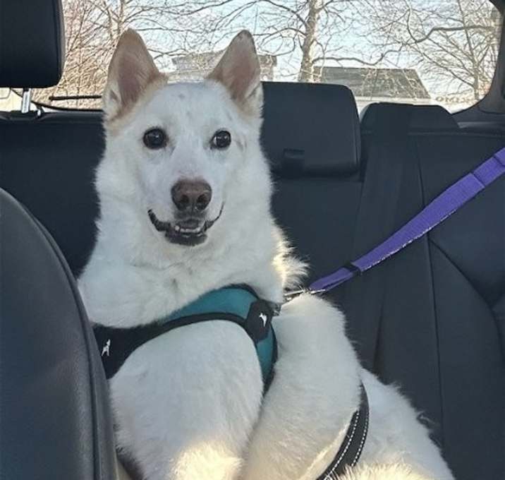 Photo of Casper of MD