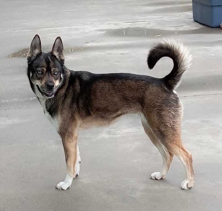 Photo of Frankie
