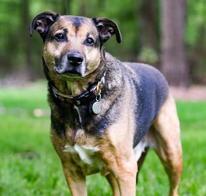 Photo of Axel