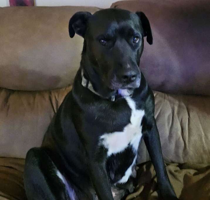 Photo of Mama