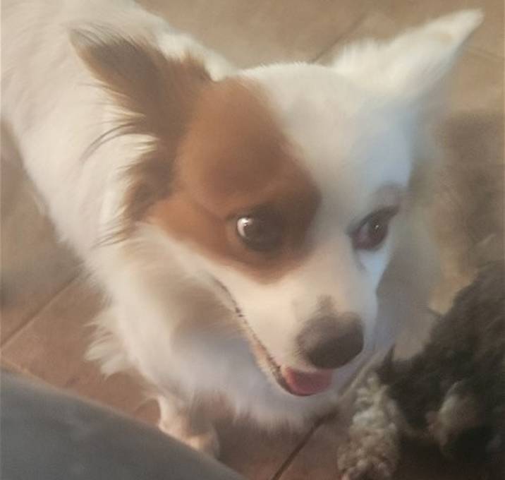 Photo of Isaac