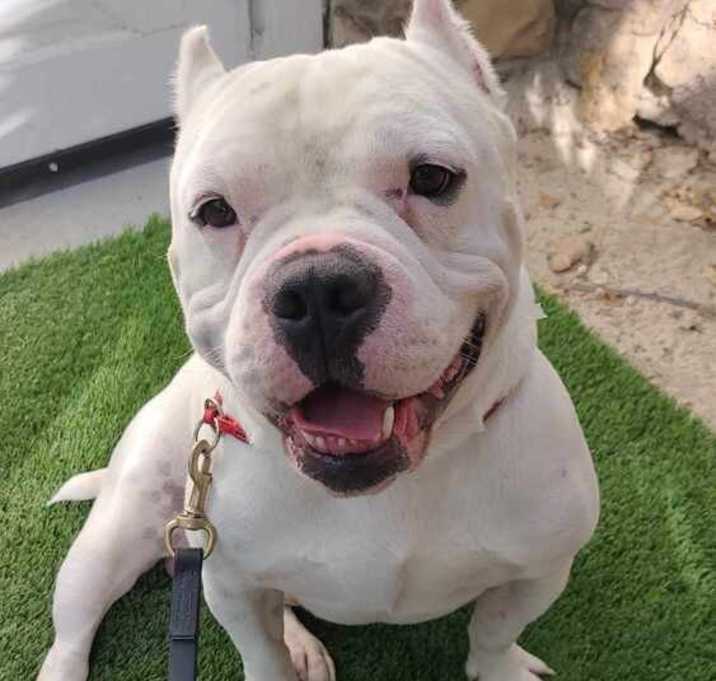 Photo of Hunk