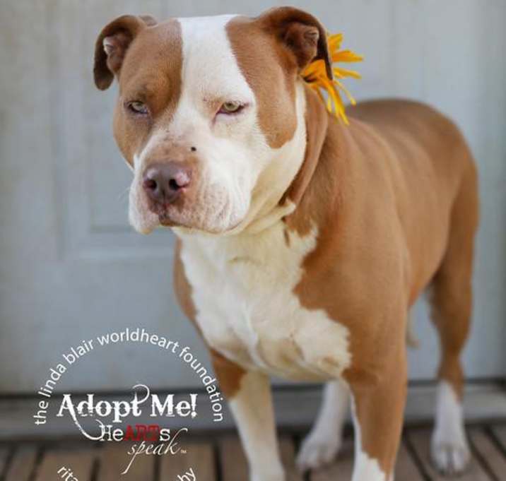 Photo of Bailey-Senior