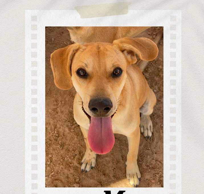 Photo of Maya
