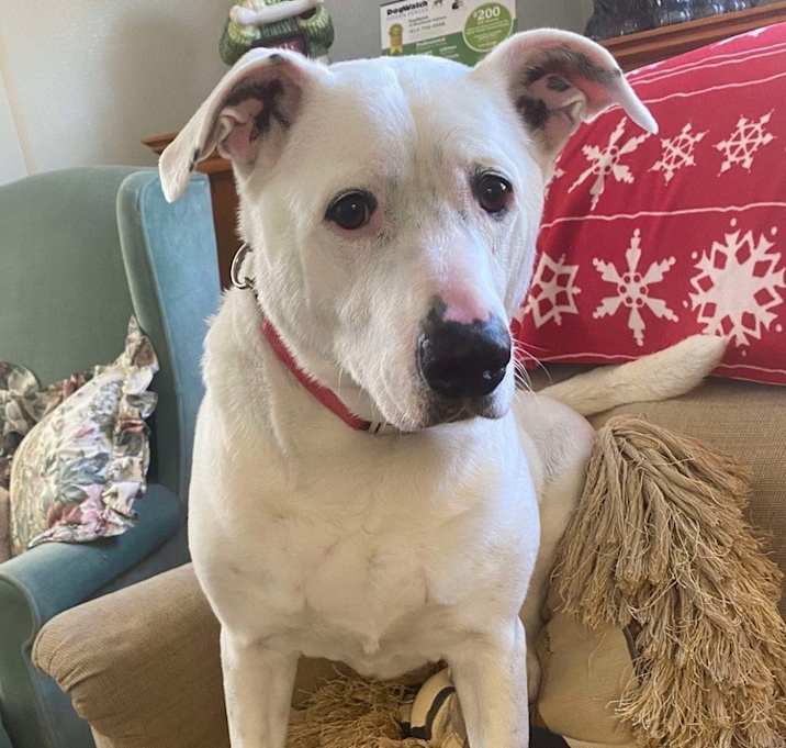 Photo of Ghost