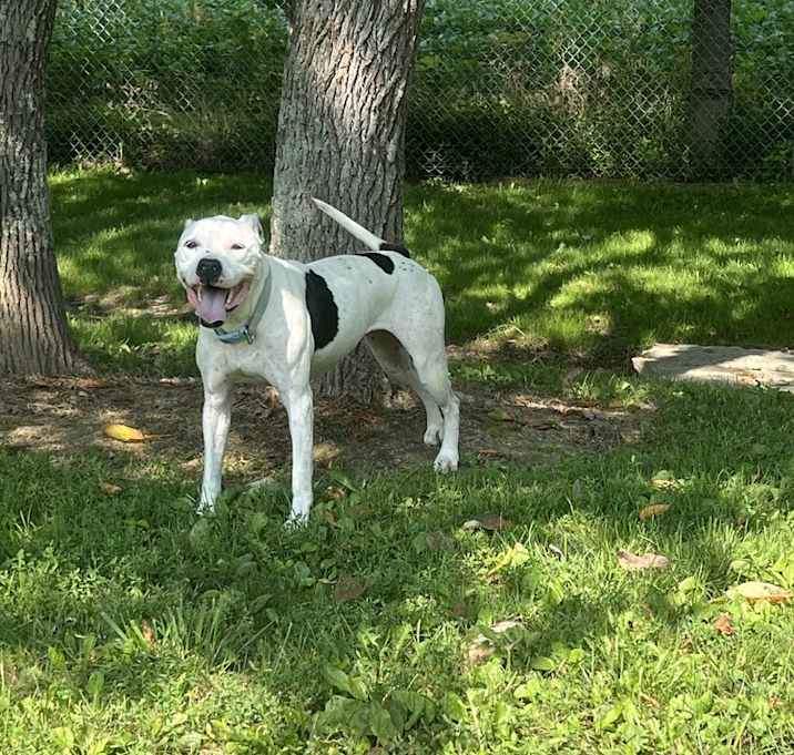 Photo of Maisy