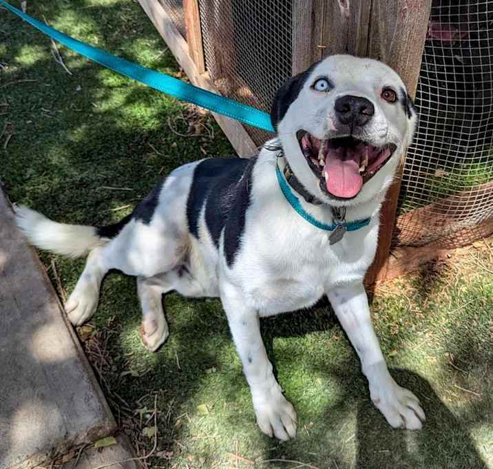 Photo of Ruckus