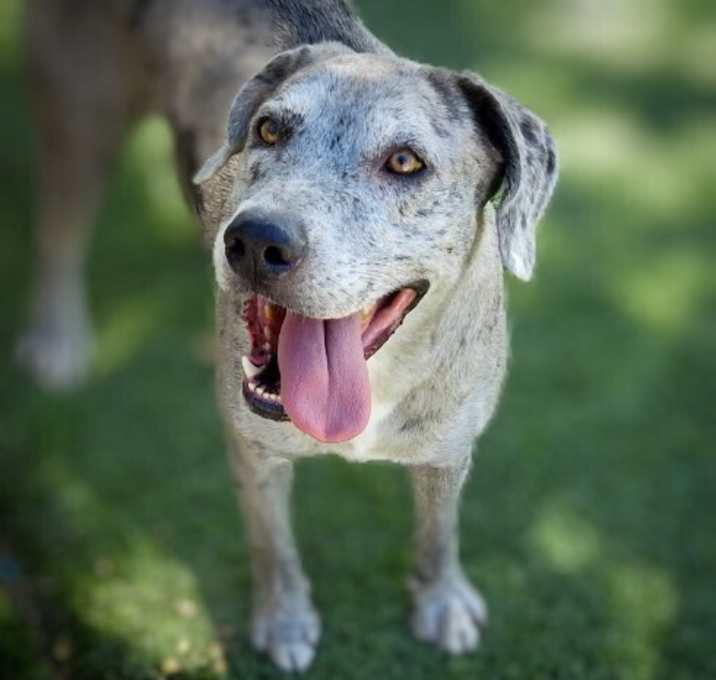 Photo of Sanzi