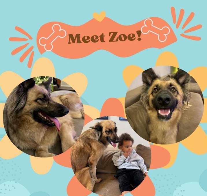 Photo of Zoe
