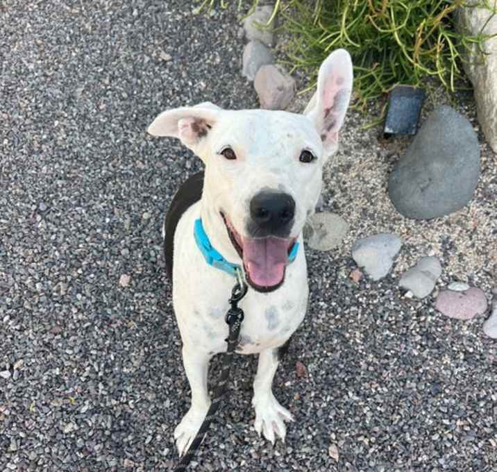 Photo of Simon