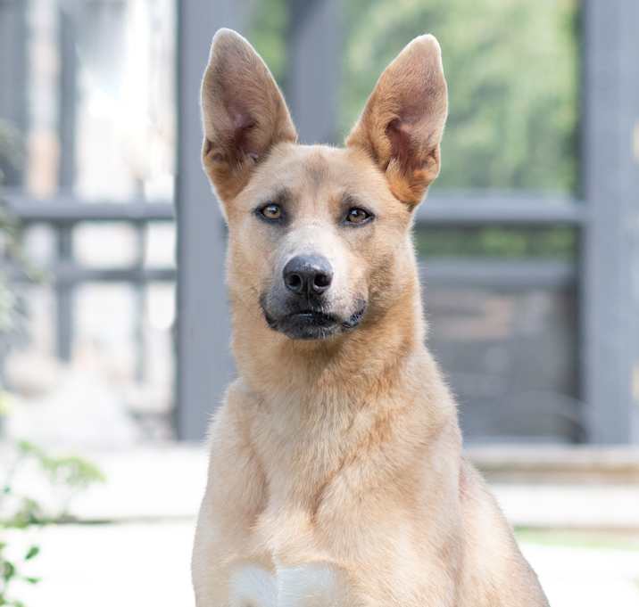 Photo of Cardi