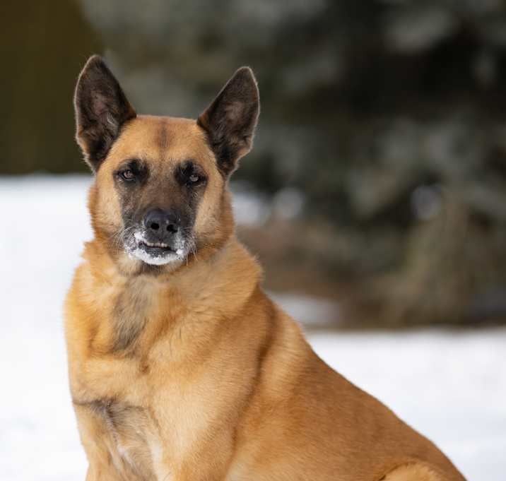 Photo of Jack