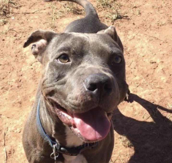 Photo of Smiley