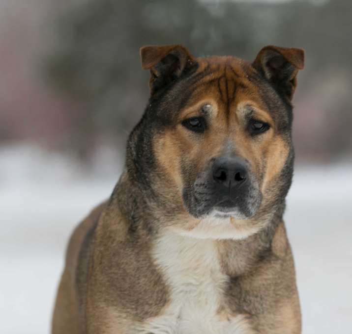 Photo of Mackey