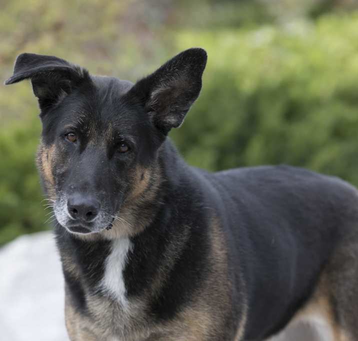 Photo of Samantha