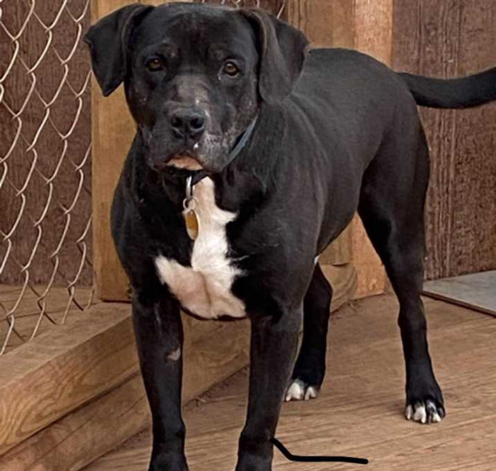 Photo of Emmitt