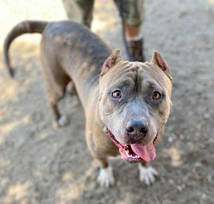 Photo of CLYDE