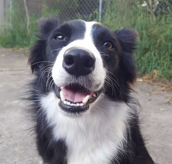 Photo of Luna