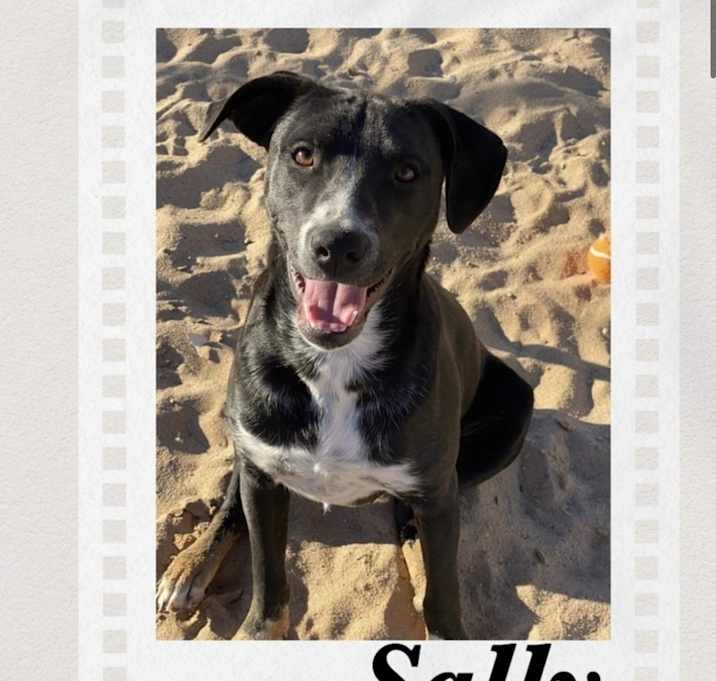 Photo of Sally