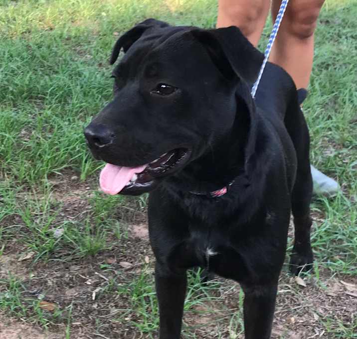 Photo of Zydeco