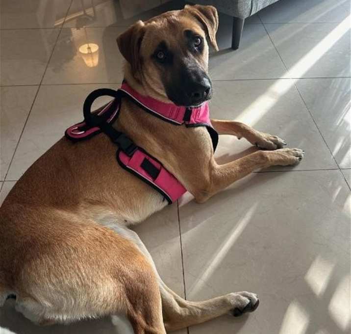 Photo of Mia