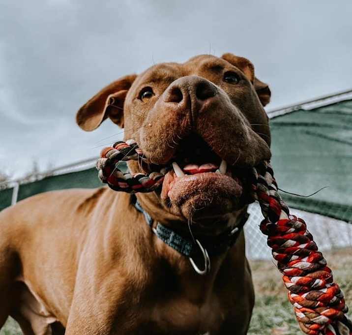 Photo of Charlie