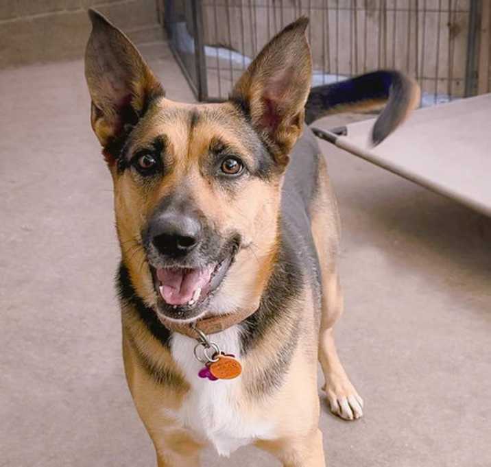 Photo of Evie