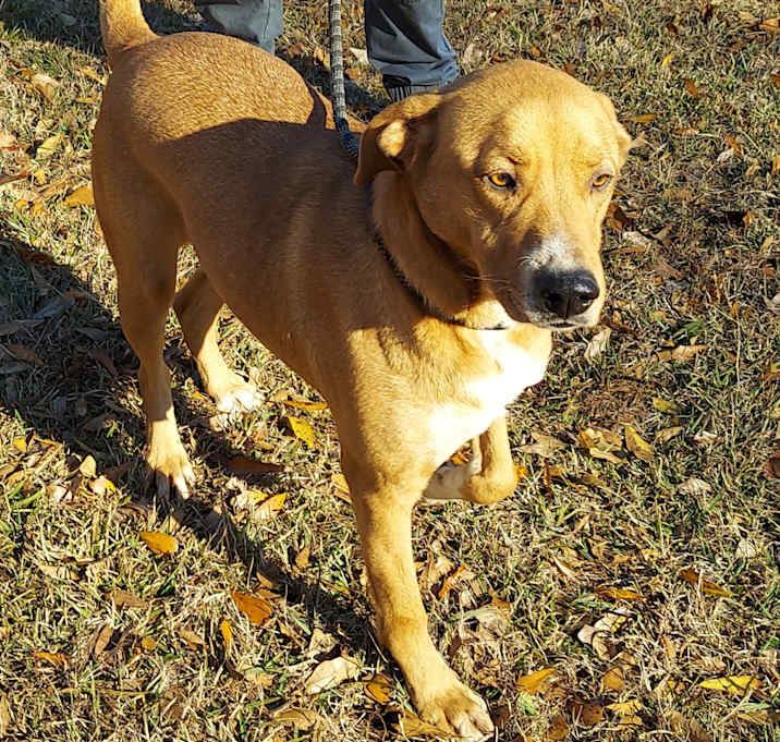 Photo of JASPER