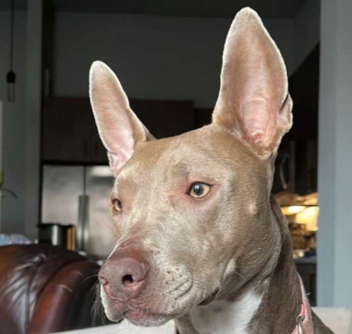 Photo of Ebbie (CP)