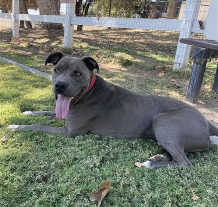 Photo of Duke
