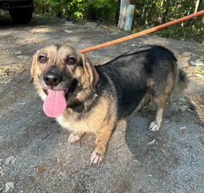 Photo of Skippy