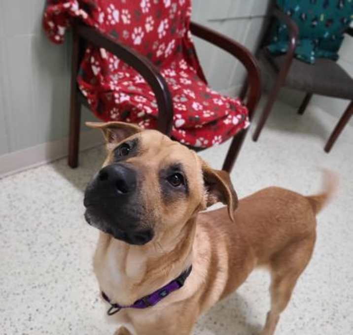 Photo of Champ