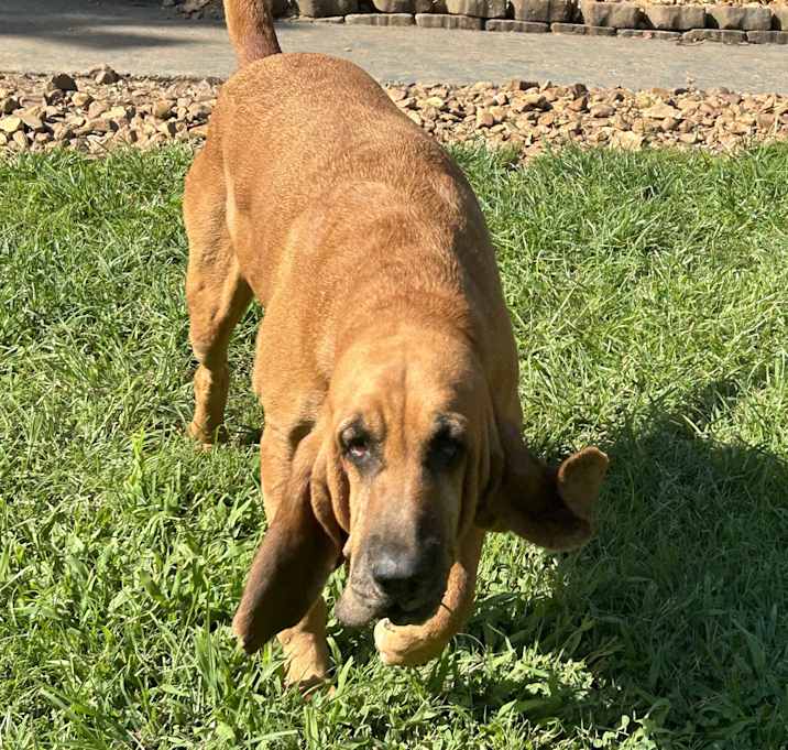 Photo of Baby Girl