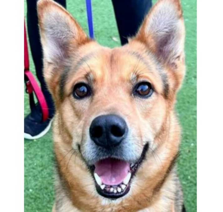 Photo of Arlo