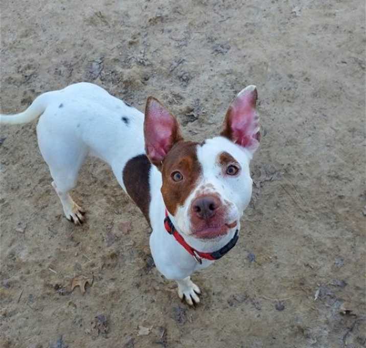 Photo of Coco