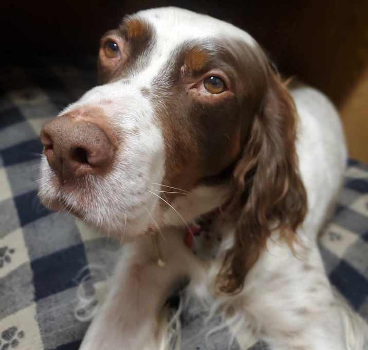 Photo of George