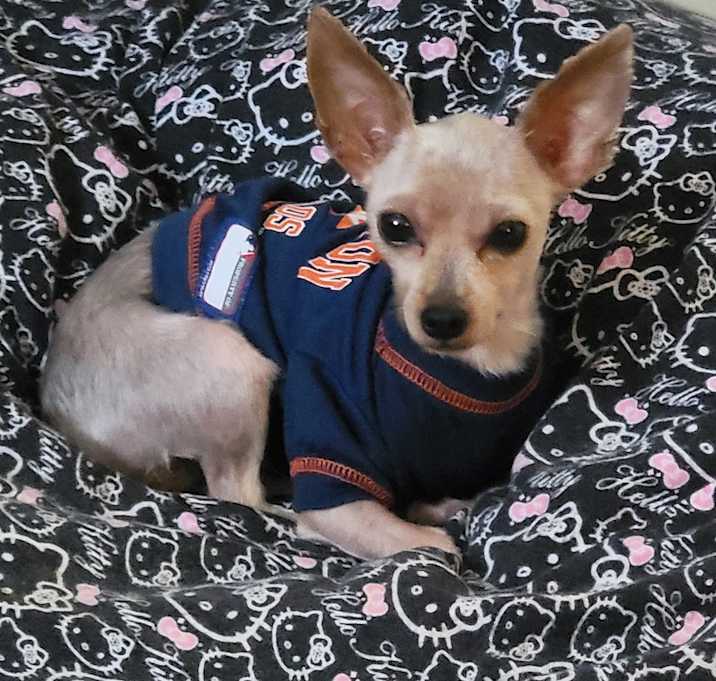 Photo of Kirby