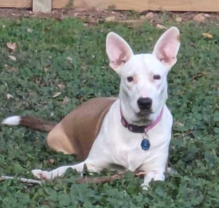 Photo of Roo