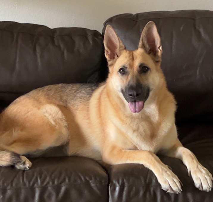 Photo of Sasha