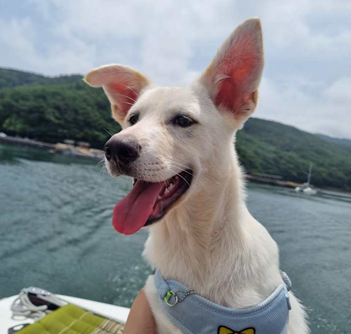 Photo of Claude