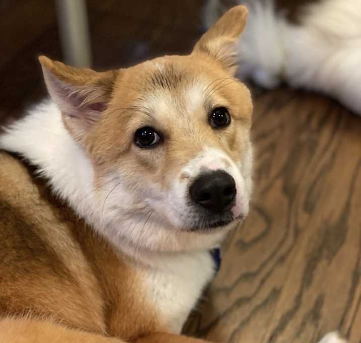 Photo of Jax