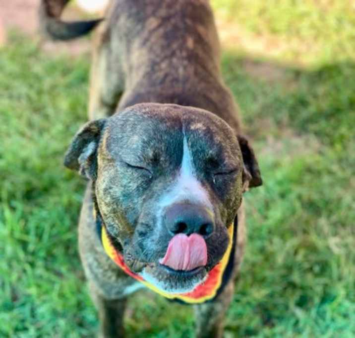 Photo of Wally the Walrus