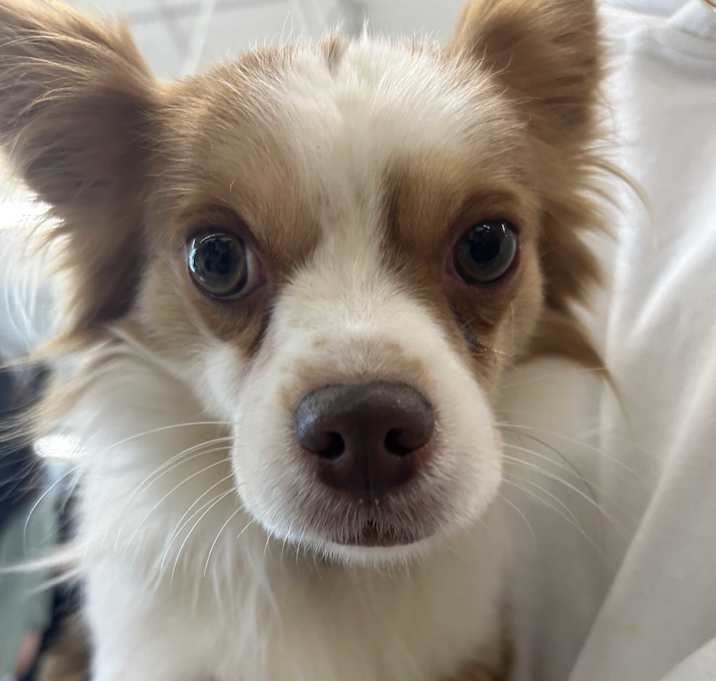 Photo of Jaxson